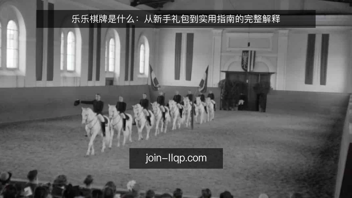 乐乐棋牌是什么:从新手礼包到实用指南的完整解释